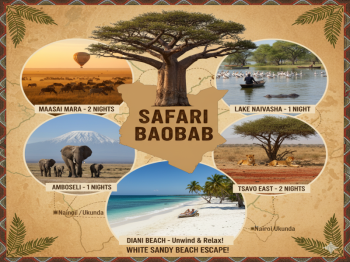 Safari Baobab