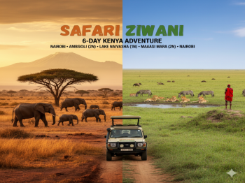 Safari Ziwani