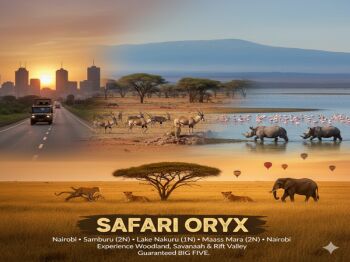 Safari Oryx