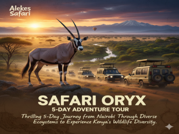 Safari Oryx 5-Day Adventure Tour