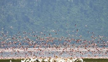 Samburu Tour Packages