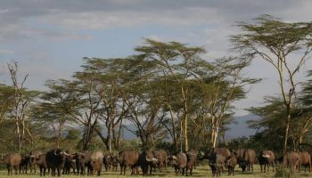 Samburu Tour Packages