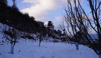 5 Nights 6 Days Shimla Manali trip