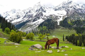 Splendors Of Kashmir - An Unforgettable Experience Tour