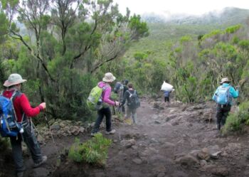 9 Days Mt. Kilimanjaro Trek Tour