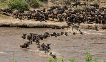 9 Days Photography Safari Tour