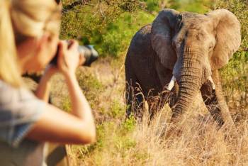 Migration 9 Days Safari Tour