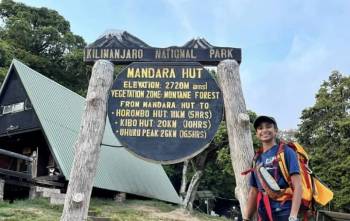 Kilimanjaro Day Hike To Mandara Hut Tour