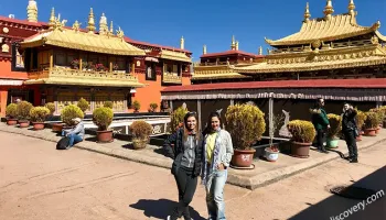 3 Nights / 4 Days Delhi to Manali Tour