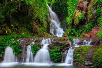 Magical Queensland 8 Nights - 9 Days Tour