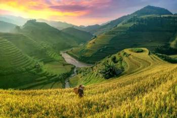 Beautiful Bali 6 Nights - 7 Days Tour