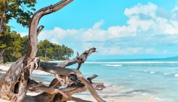 Explore Andaman 05 Nights - 06 Days Tour