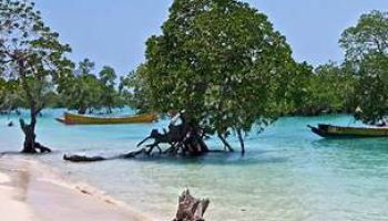 Havelock Tour Packages