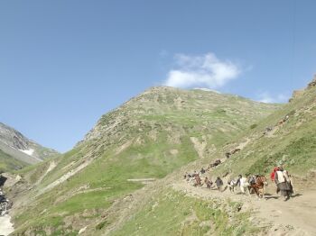 Baltal Tour Packages