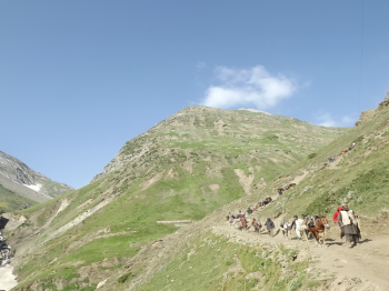 Baltal Tour Packages