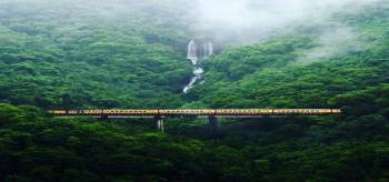 1 Day Doodhsagar Waterfall Tour In Goa Tour