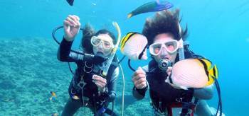 Malvan Tour Packages