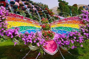 1 Day Dubai Butterfly Garden Tour