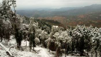 5 Nights 6 Days Shimla Manali Package