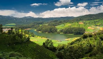 4N Munnar - Varkala - Cochin Tour Package
