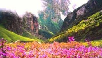 7N Darjeeling - Pelling - Gangtok - Lachung Tour