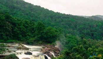 8D Munnar - Thekkady - Mararikulam Tour