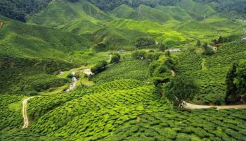 4 Days Kaziranga - Guwahati Tour