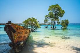 Neil Island Tour Packages