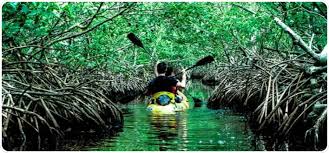 7 Days Andaman Fully Loaded With Baratang Island Tour