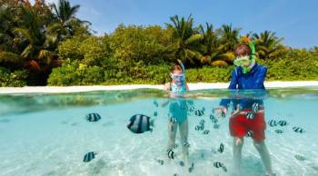 Neil Island Tour Packages