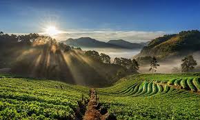 5 Days Gangtok - Darjeeling Tour