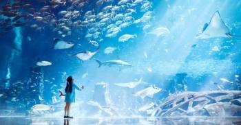 4 Days Dubai Sky High Thrills Tour Package
