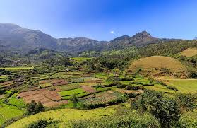 3 Night Mist - Mountains Coimbatore - Kodaikanal  Tour