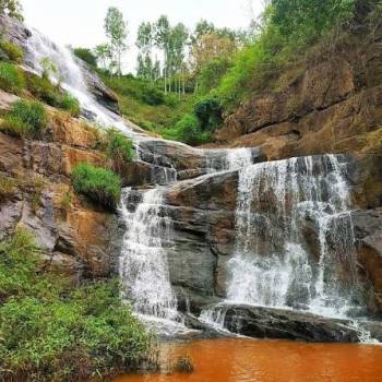 Nilgiri - Coorg Escape - 4 Nights - 5 Days Tour