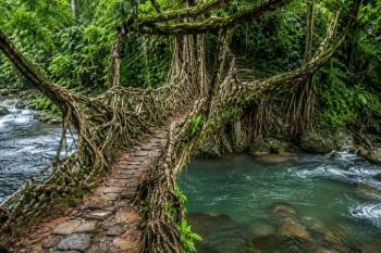 Meghalaya Nature Trail - 5 Nights - 6 Days Tour