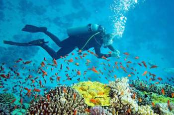 Andaman Adventure - 5N - 6D
