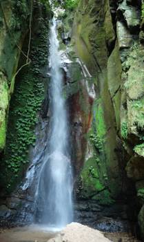 Gombe Stream Jane Goodall Legacy Chimp Safari Tour