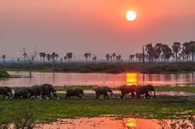 Selous Pristine Southern Wilderness Safari Tour