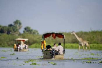 Selous Pristine Southern Wilderness Safari Tour