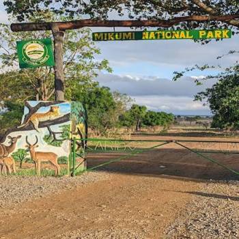 Mikumi National Park Wildlife Weekend Escape Tour