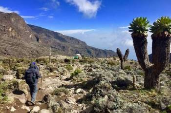 Mount Kilimanjaro Trekking - Machame Route Peak Climb Tour