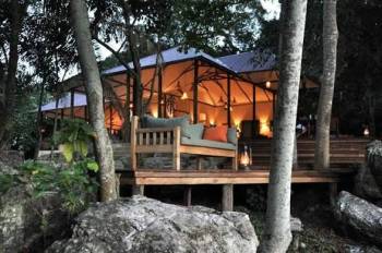 Rubondo Island Chimpanzee - Wilderness Sanctuary Tour