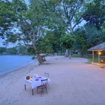 Rubondo Island Chimpanzee - Wilderness Sanctuary Tour