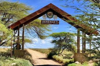 Classic Serengeti Endless Plains Wildlife Safari