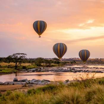 Classic Serengeti Endless Plains Wildlife Safari