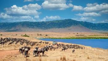 Ngorongoro Tour Packages