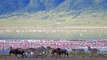 Ngorongoro Tour Packages