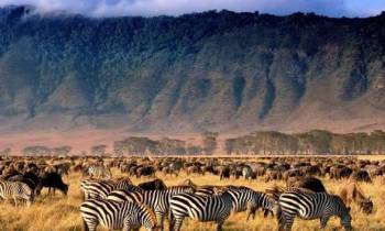 Ngorongoro Tour Packages