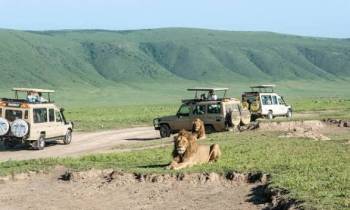 Ngorongoro Tour Packages