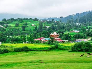 Best Luxury Kullu - Manali Honeymoon Tour Package